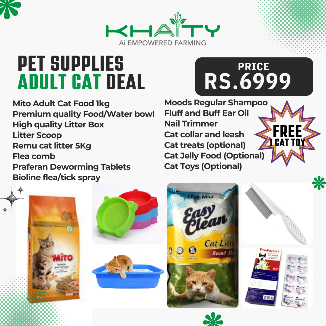 Ultimate Adult Cat Care Package | Khaity